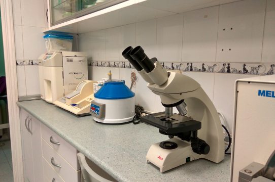 Microscopio en el laboratorio de la clínica