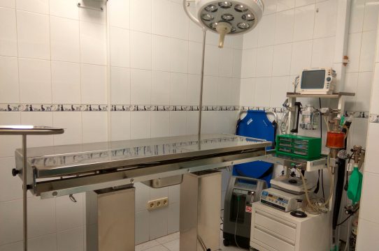 Quirófano equipado de Clínica Veterinaria La Solana